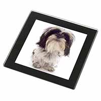 Shih-Tzu Dog Black Rim High Quality Glass Coaster