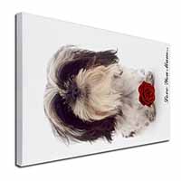 Shih Tzu with Rose 