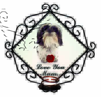 Shih Tzu with Rose 