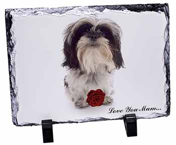 Shih Tzu with Rose 