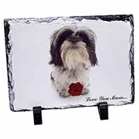 Shih Tzu with Rose 