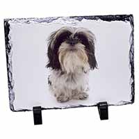 Shih-Tzu Dog, Stunning Photo Slate