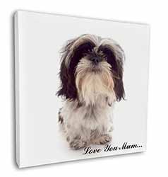 Shih-Tzu Dog 