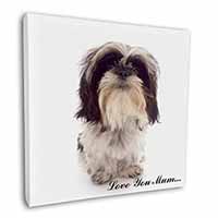 Shih-Tzu Dog 