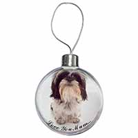 Shih-Tzu Dog 