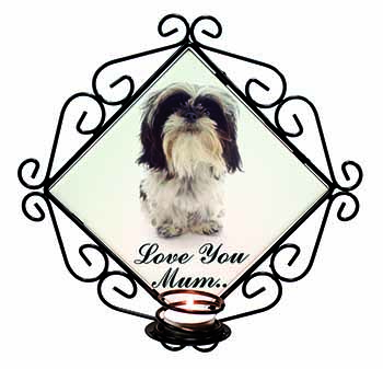 Shih-Tzu Dog 