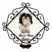 Shih-Tzu Dog 