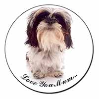 Shih-Tzu Dog 