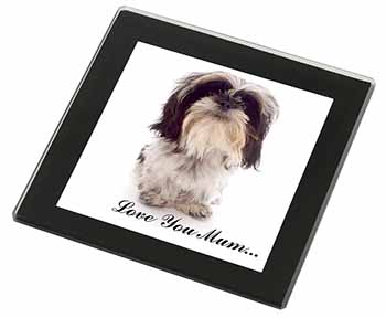 Shih-Tzu Dog 