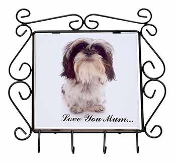 Shih-Tzu Dog 