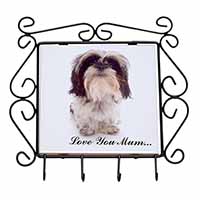 Shih-Tzu Dog 