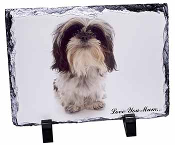 Shih-Tzu Dog 