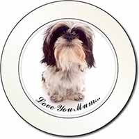 Shih-Tzu Dog 