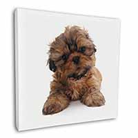 Shih-Tzu Dog Square Canvas 12"x12" Wall Art Picture Print