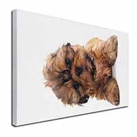 Shih-Tzu Dog Canvas X-Large 30"x20" Wall Art Print