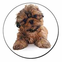 Shih-Tzu Dog Fridge Magnet Printed Full Colour