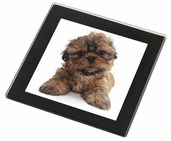 Shih-Tzu Dog Black Rim High Quality Glass Coaster