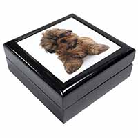 Shih-Tzu Dog Keepsake/Jewellery Box