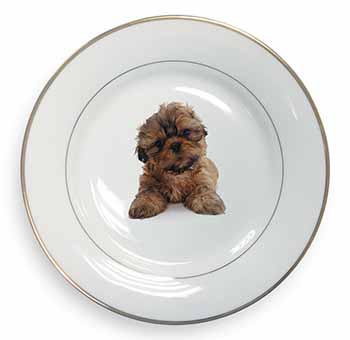 Shih-Tzu Dog Gold Rim Plate Printed Full Colour in Gift Box