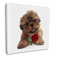 Shih Tzu Dog with Red Rose Square Canvas 12"x12" Wall Art Picture Print