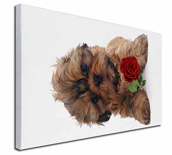 Shih Tzu Dog with Red Rose Canvas X-Large 30"x20" Wall Art Print