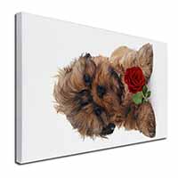 Shih Tzu Dog with Red Rose Canvas X-Large 30"x20" Wall Art Print