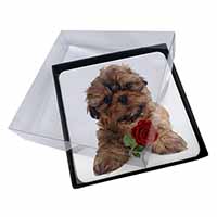 4x Shih Tzu Dog with Red Rose Picture Table Coasters Set in Gift Box