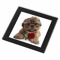Shih Tzu Dog with Red Rose Black Rim High Quality Glass Coaster