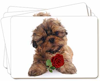 Shih Tzu Dog with Red Rose Picture Placemats in Gift Box