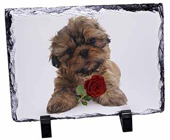 Shih Tzu Dog with Red Rose, Stunning Photo Slate
