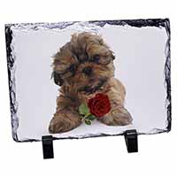 Shih Tzu Dog with Red Rose, Stunning Photo Slate