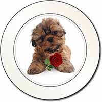 Shih Tzu Dog with Red Rose Car or Van Permit Holder/Tax Disc Holder