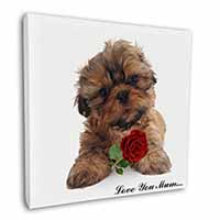 Shih Tzu Dog with Rose 