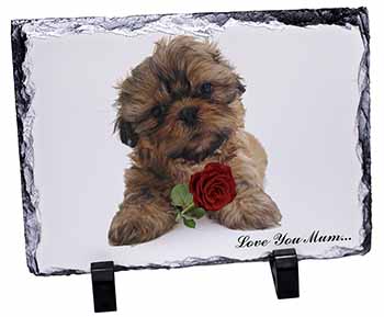 Shih Tzu Dog with Rose 