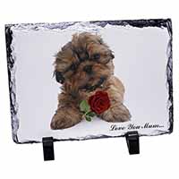 Shih Tzu Dog with Rose 