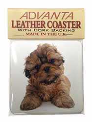 Shih-Tzu Dog Single Leather Photo Coaster