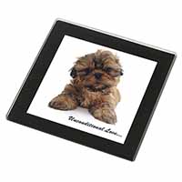 Shih-Tzu Dog-Love Black Rim High Quality Glass Coaster