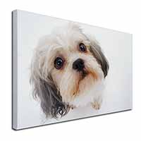 Cute Shih-Tzu Dog Canvas X-Large 30"x20" Wall Art Print