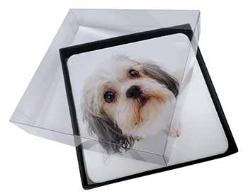 4x Cute Shih-Tzu Dog Picture Table Coasters Set in Gift Box