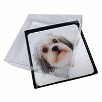 4x Cute Shih-Tzu Dog Picture Table Coasters Set in Gift Box