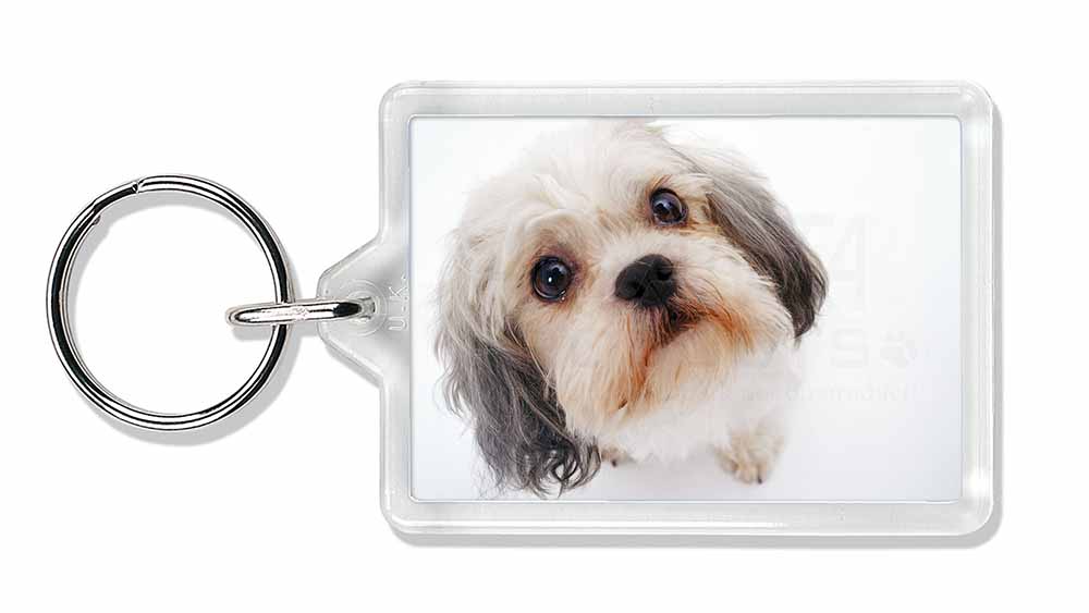 shih tzu gifts shih tzu photo keyring animal gift id 24822 shih tzu gifts shih tzu photo keyring animal gift id 24822