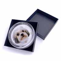 Cute Shih-Tzu Dog Glass Paperweight in Gift Box