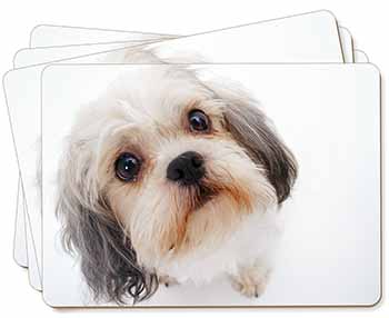 Cute Shih-Tzu Dog Picture Placemats in Gift Box