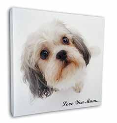 Cute Shih-Tzu Dog 