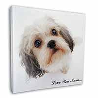 Cute Shih-Tzu Dog 