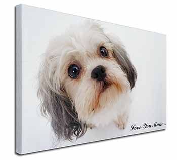 Cute Shih-Tzu Dog 