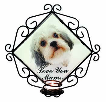 Cute Shih-Tzu Dog 