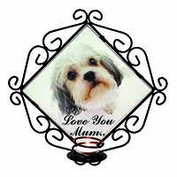 Cute Shih-Tzu Dog 