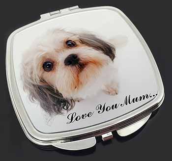 Cute Shih-Tzu Dog 