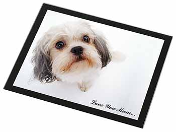 Cute Shih-Tzu Dog 